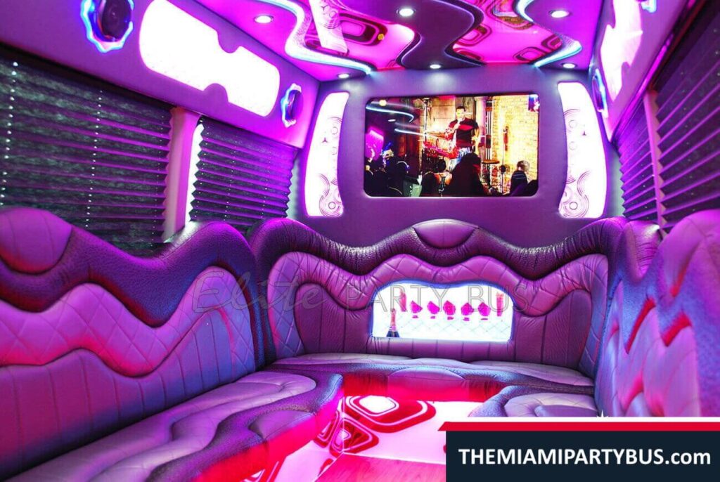 PARTY BUS 16 passengers