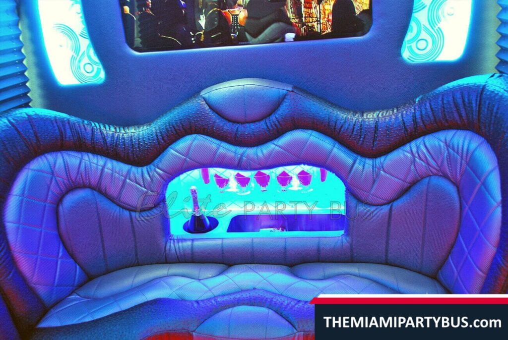 PARTY BUS 16 passengers