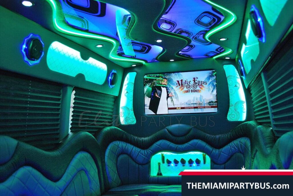 PARTY BUS 16 passengers