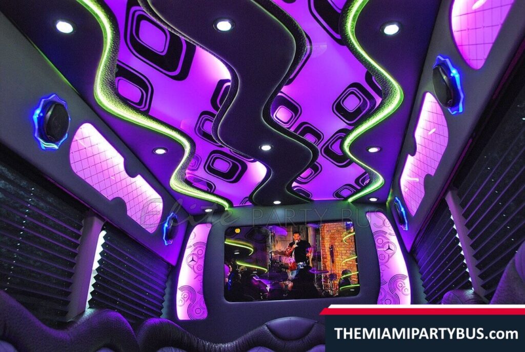 PARTY BUS 16 passengers