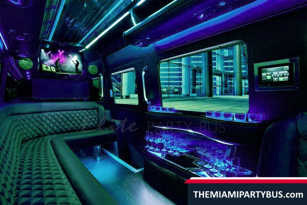 EXECUTIVE MINI PARTY BUS 16 Passengers