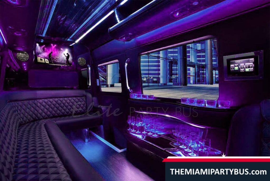 EXECUTIVE MINI PARTY BUS 16 Passengers