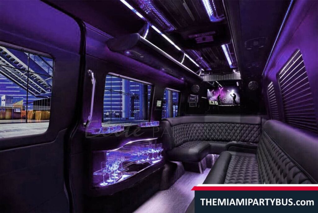 EXECUTIVE MINI PARTY BUS 16 Passengers