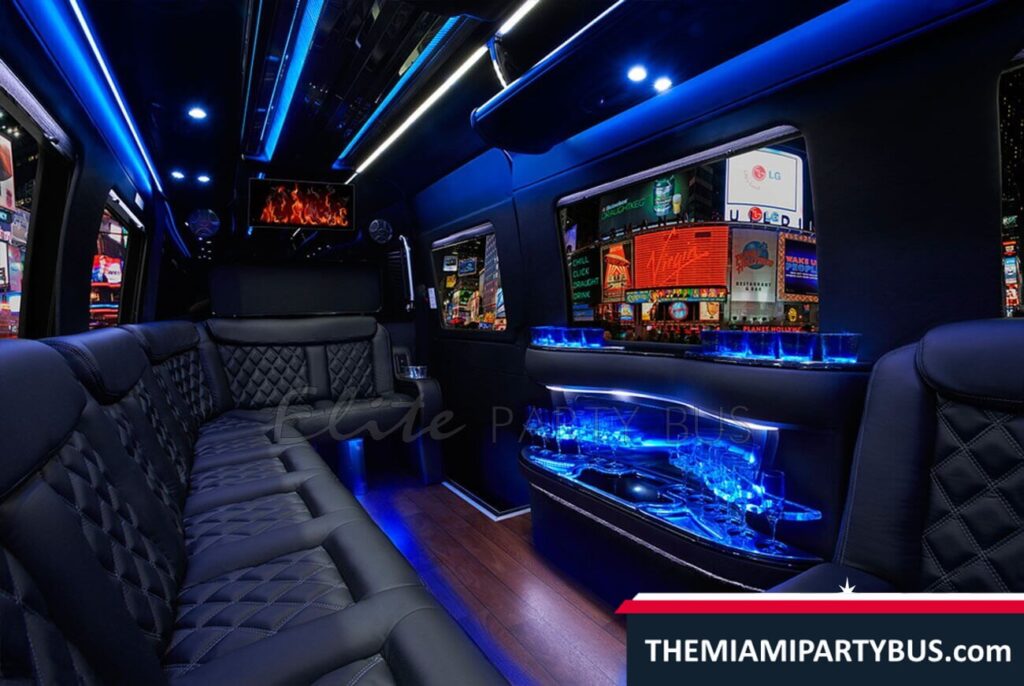 EXECUTIVE MINI PARTY BUS 16 Passengers