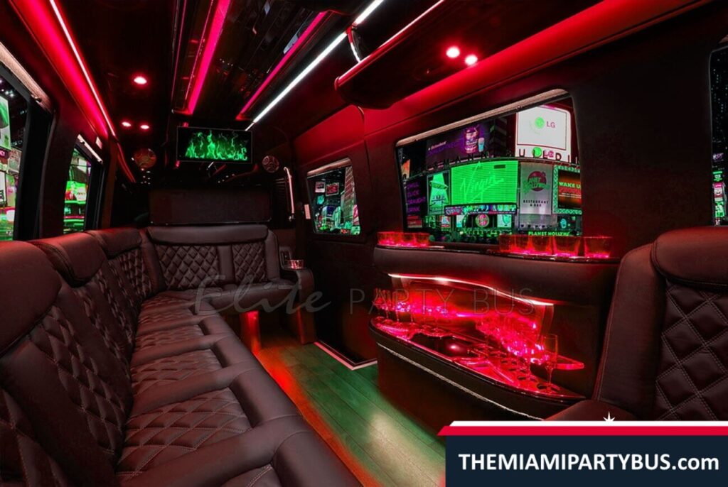 EXECUTIVE MINI PARTY BUS 16 Passengers