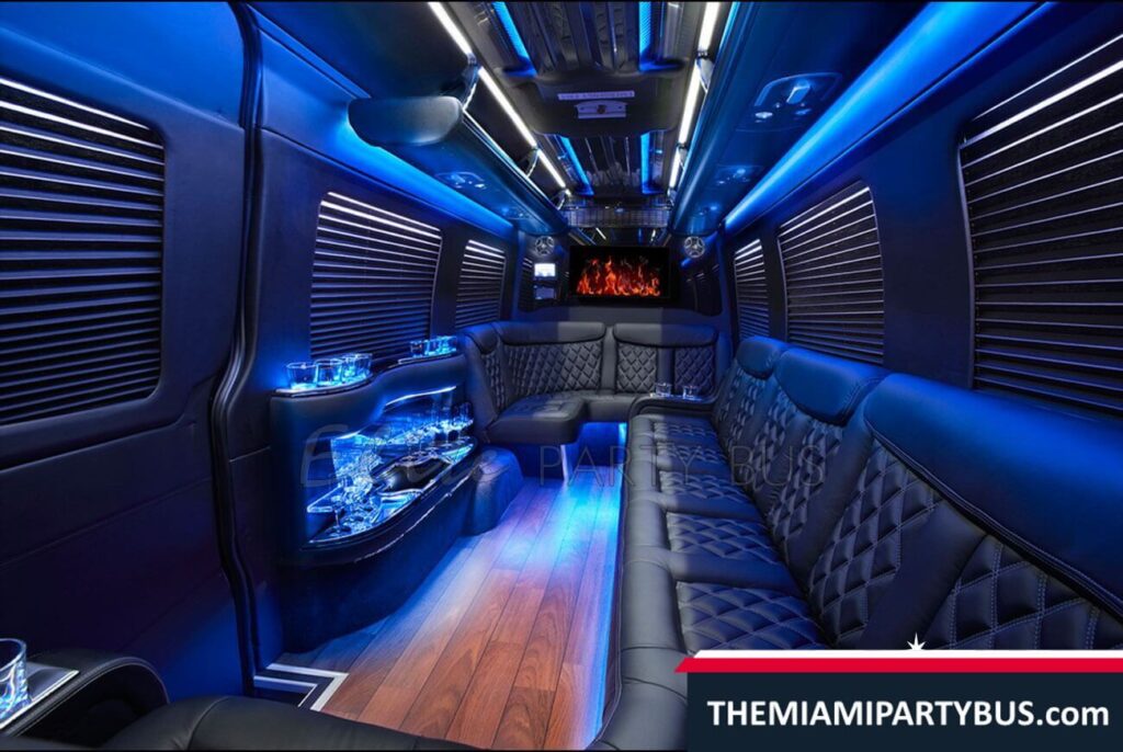 EXECUTIVE MINI PARTY BUS 16 Passengers