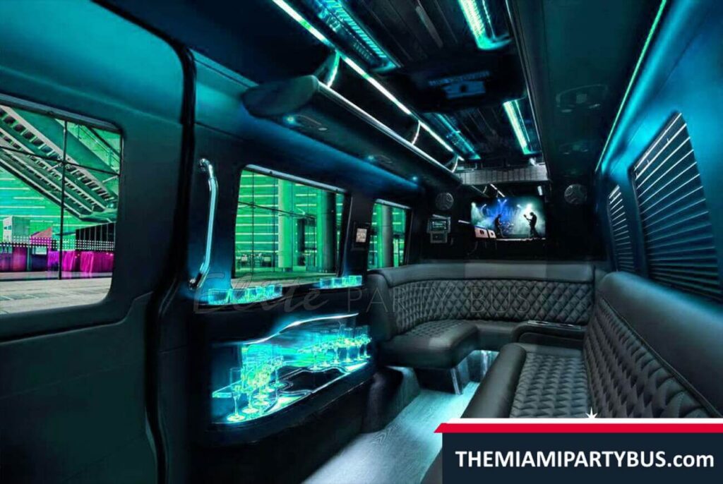 EXECUTIVE MINI PARTY BUS 16 Passengers